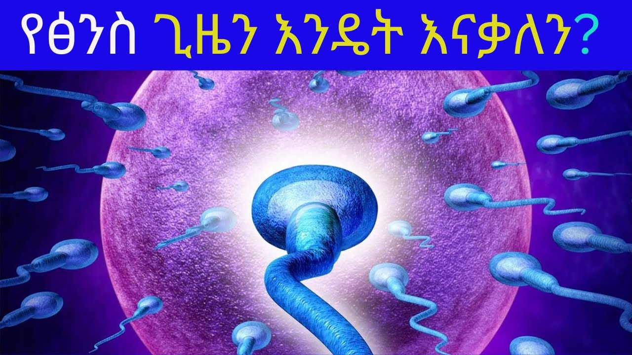 Part 5 : How to determine fertilization period/የፅንስ ጊዜን እንዴት እናዉቃለን?