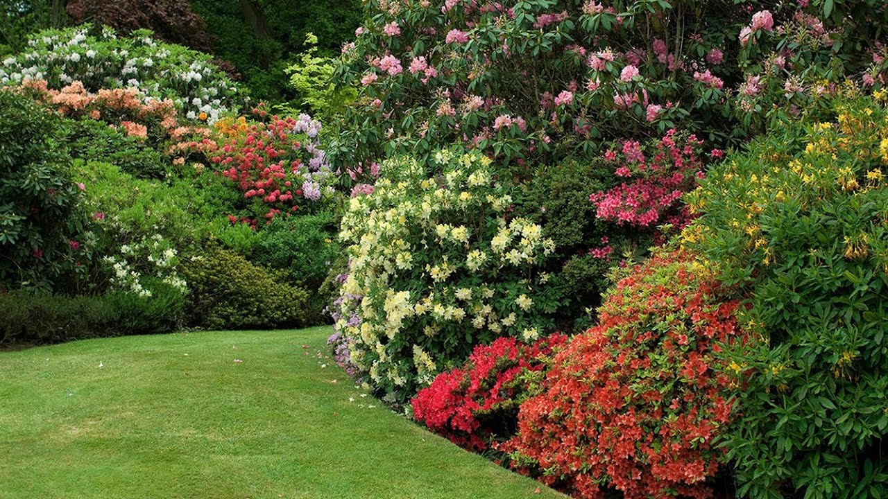 Замечательные идеи для садового творчества / The best ideas for garden creativity