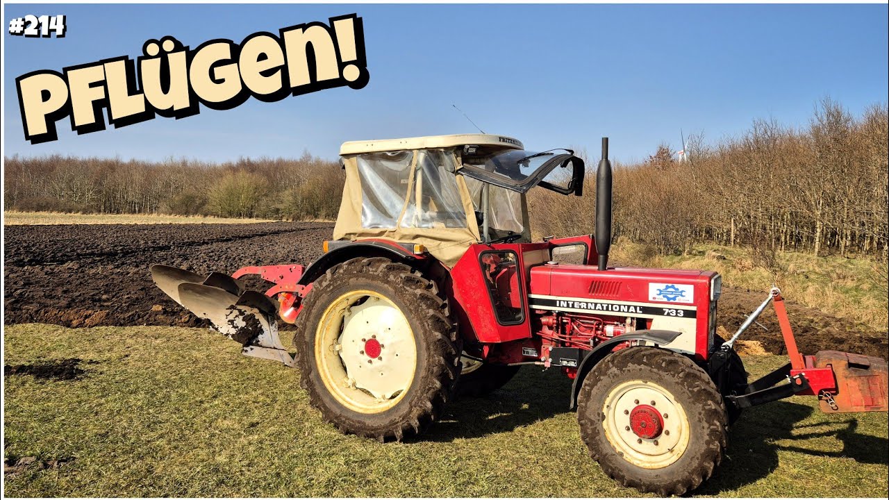 Volle Pulle!! | IHC 733 Allrad mit Kyllingstad BEETPFLUG | Von der AUSSAAT bis zur ERNTE - TEIL II