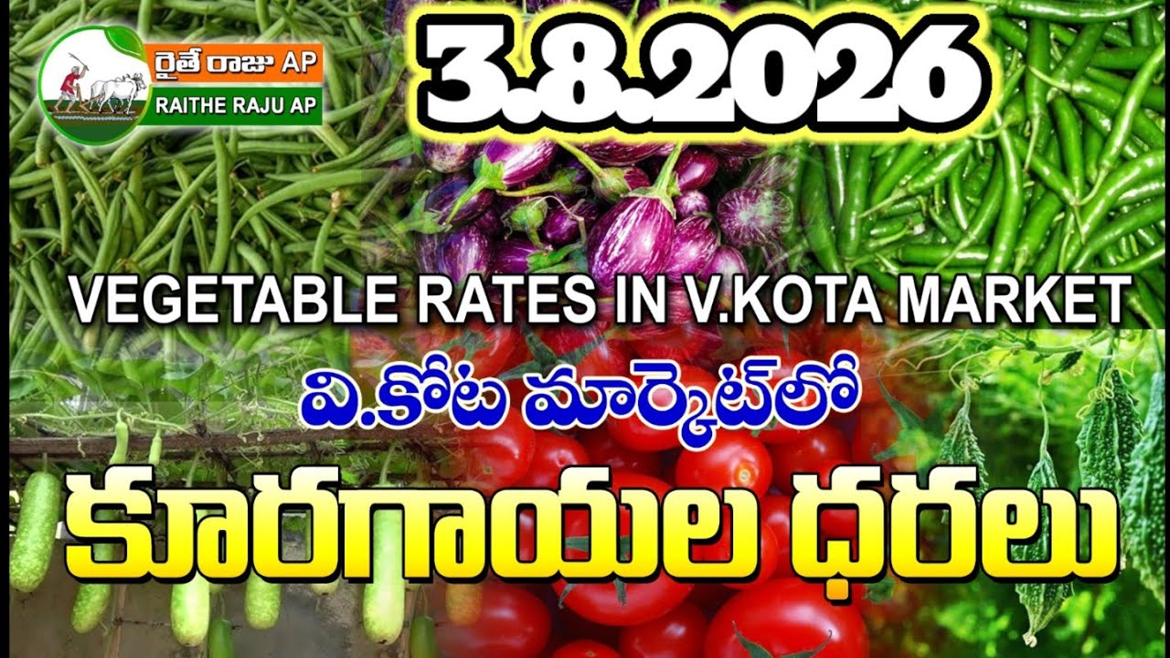 #AMC V.KOTA TODAY BEANS PRICE IN MARKET #ALL VEGETABLE PRICES #marigold 