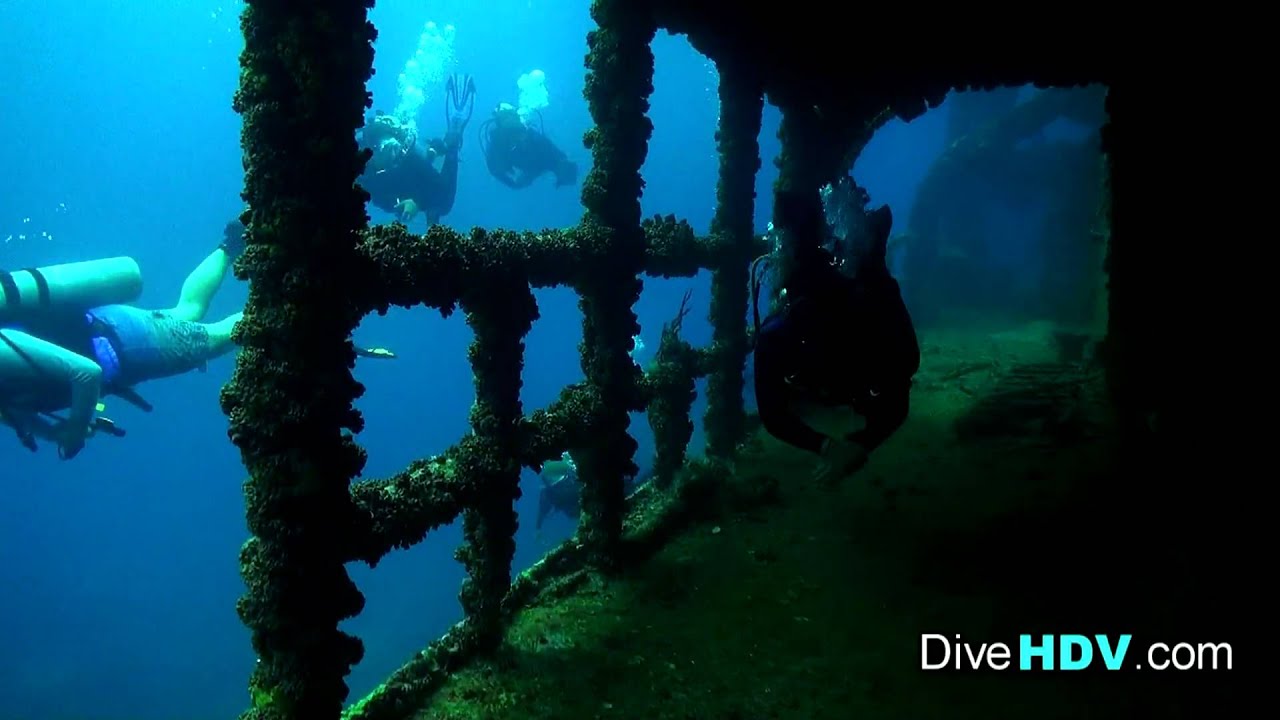 Scuba Diving St Thomas - WIT Shoal short - DiveHDV