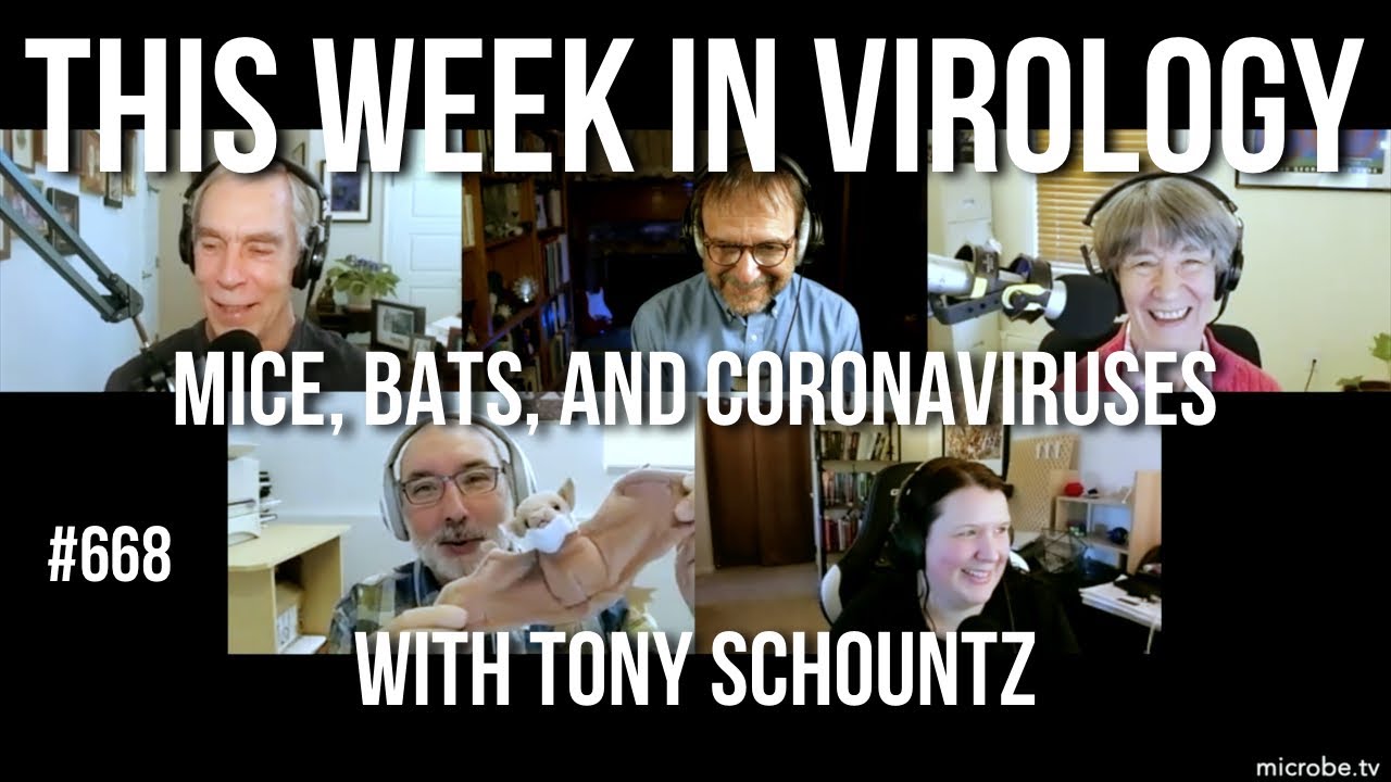 TWiV 668: Mice, bats, and coronaviruses with Tony Schountz