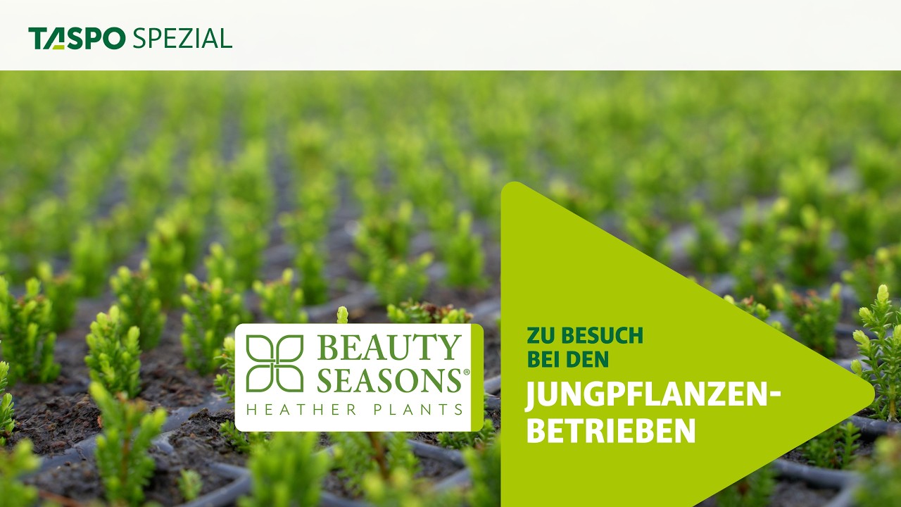 TASPO SPEZIAL: Beauty Seasons - Besuch bei den Jungpflanzen-Betrieben