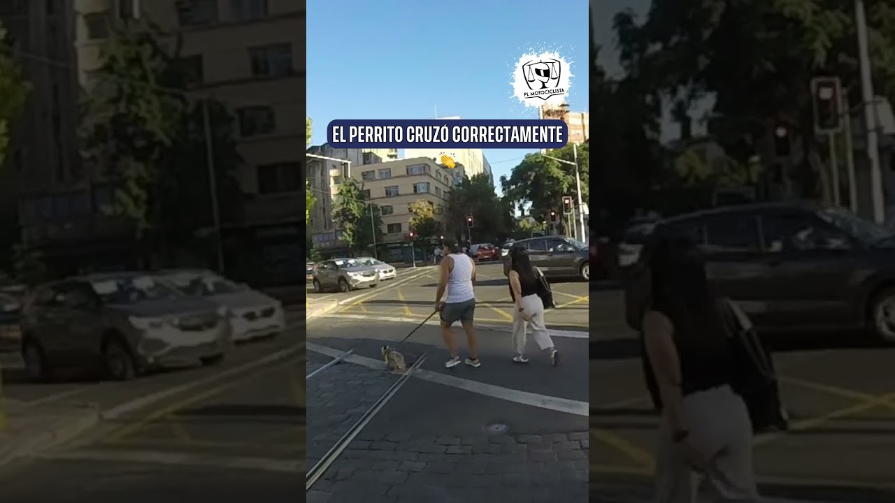 &iquest;TODOS PASARON CORRECTAMENTE?🧐👇