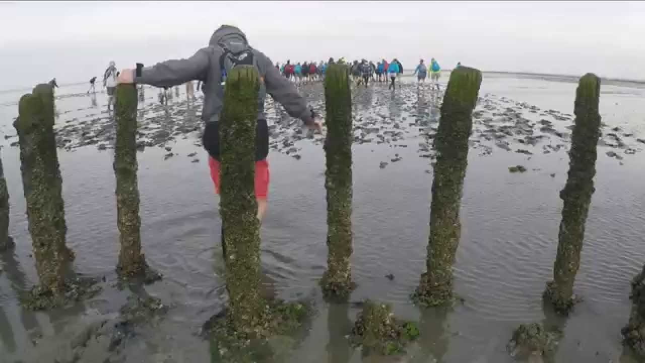 Van Holwerd naar Ameland in anderhalve minuut