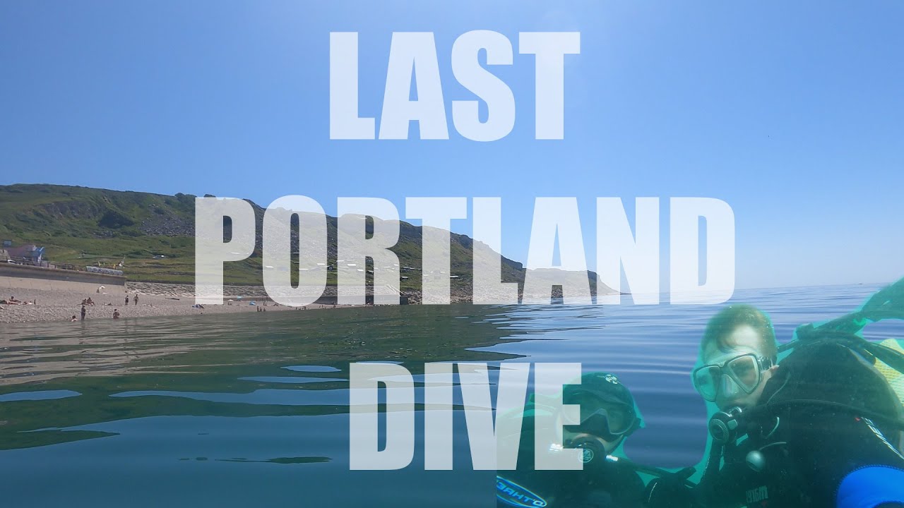 One last Portland Dive | BEST ONE YET... except for losing my wetsuit