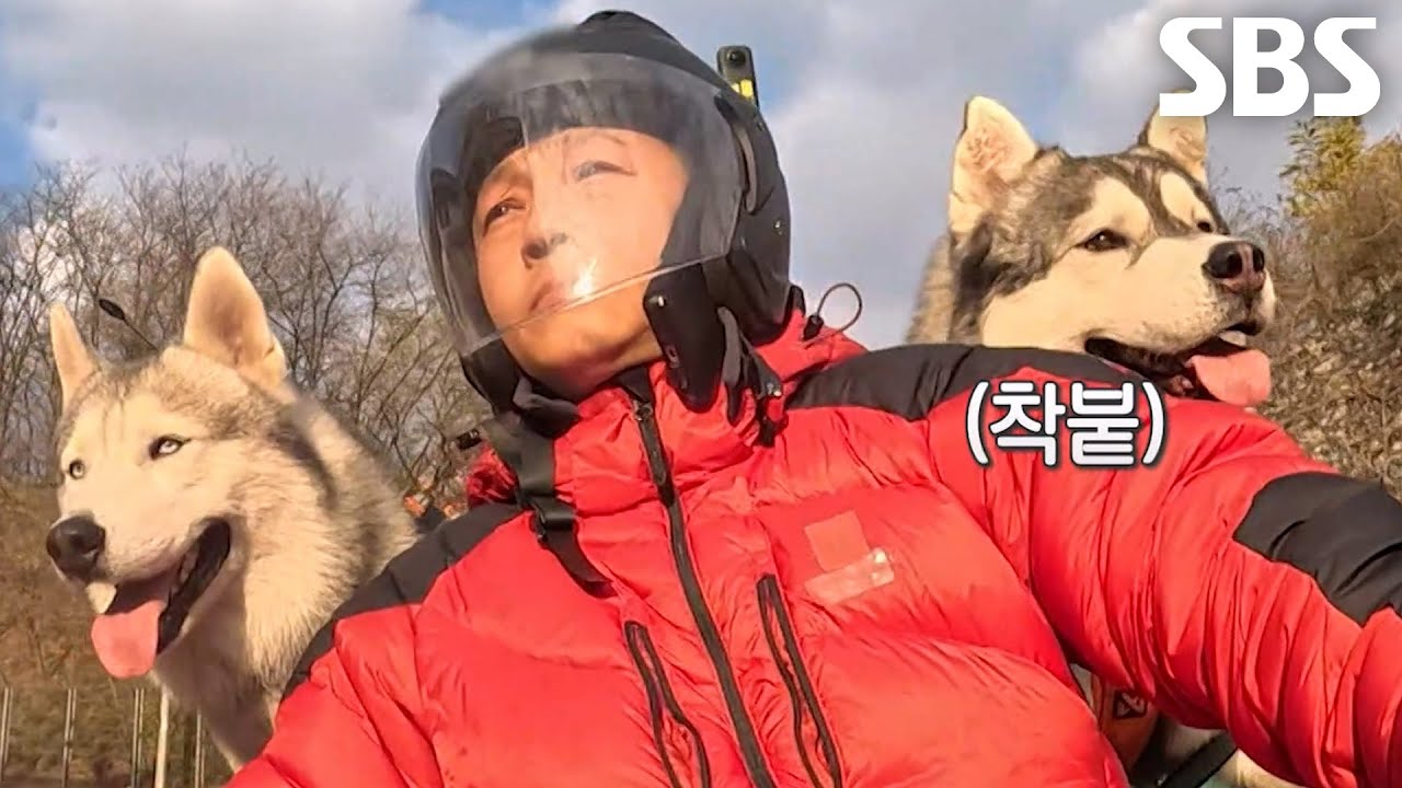 샤크&times;노을, 사륜바이크와 달리는 대도시 산책! (ft.시속 40km)