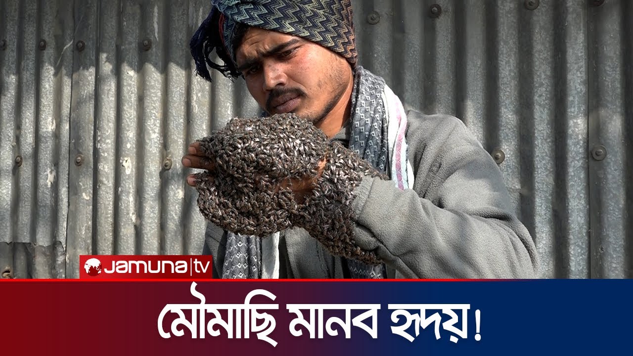দেখা মিললো, বিস্ময়কর মৌমাছি মানবের | Bee Man | Jamuna TV |