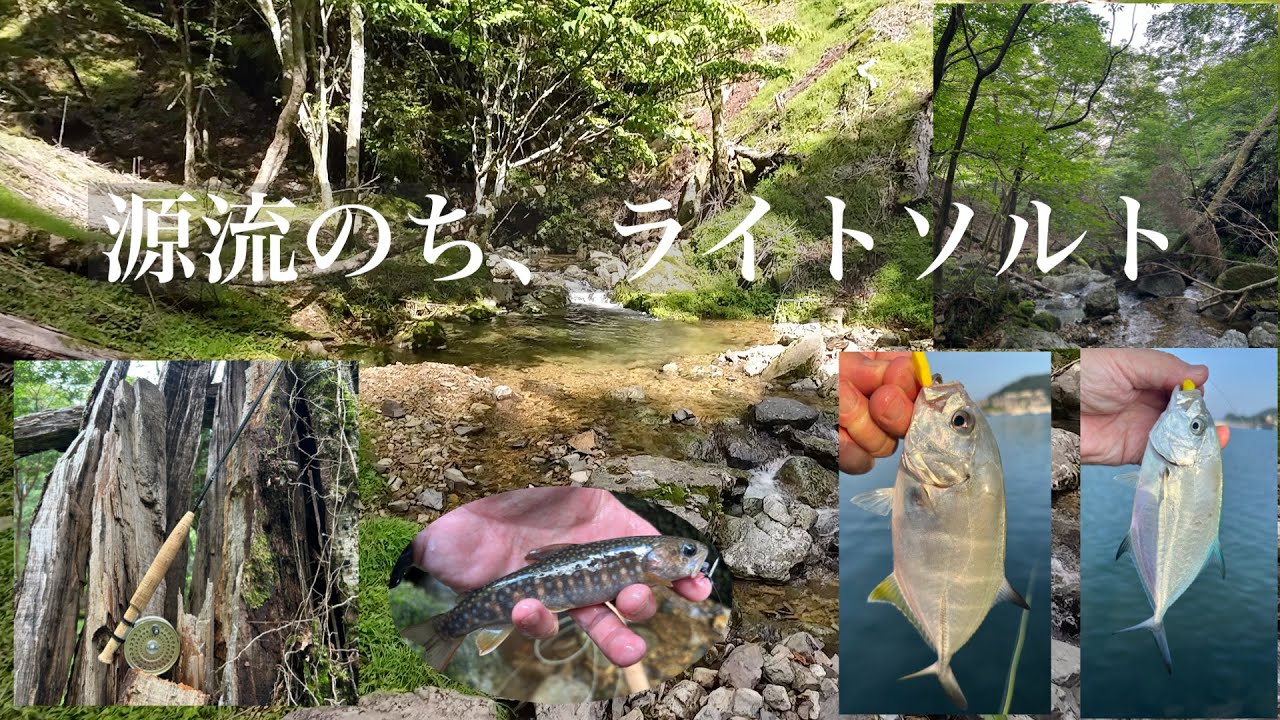 源流から海へ　イワナ釣りと海小物釣り