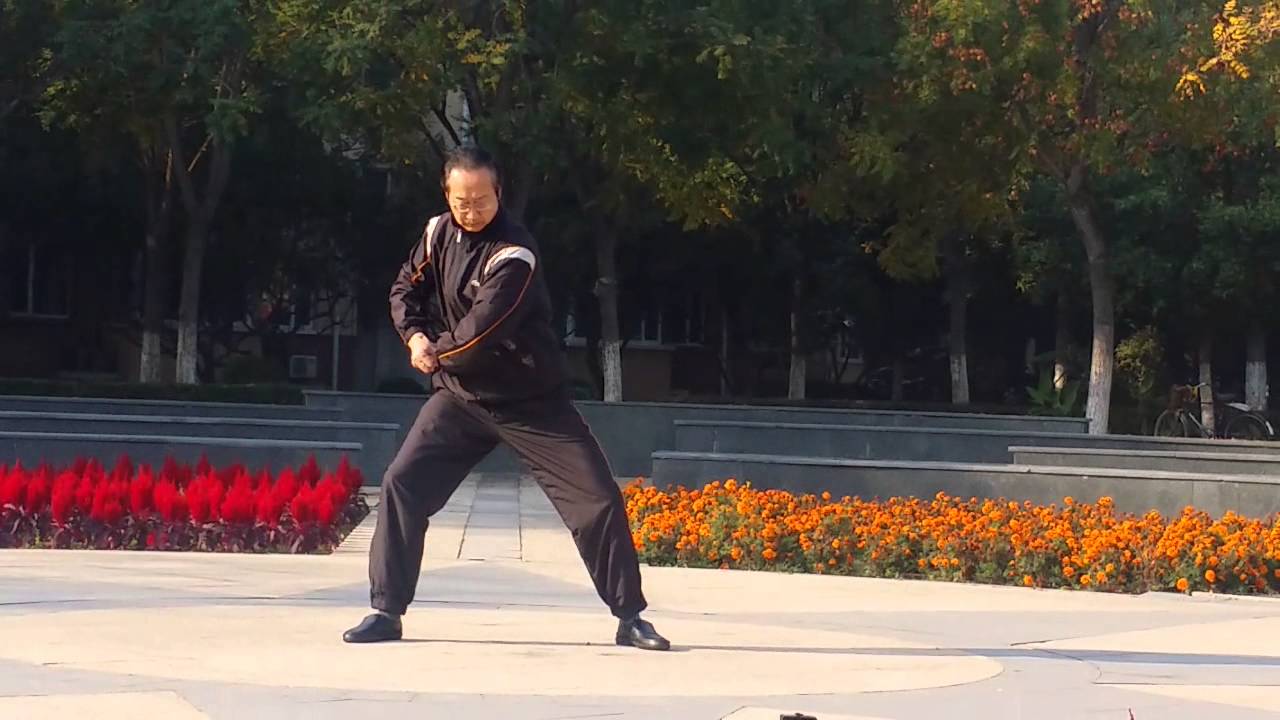 Shifu Pan Houcheng, 24 forms of Hunyuan Taiji