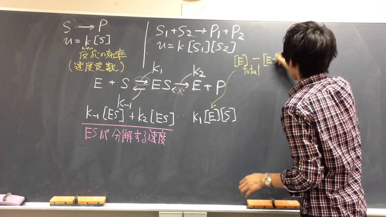 ミカエリス・メンテンの式① 【酵素】　高校生物