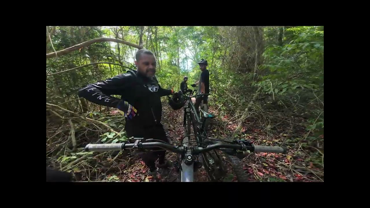 4 Kings Trail