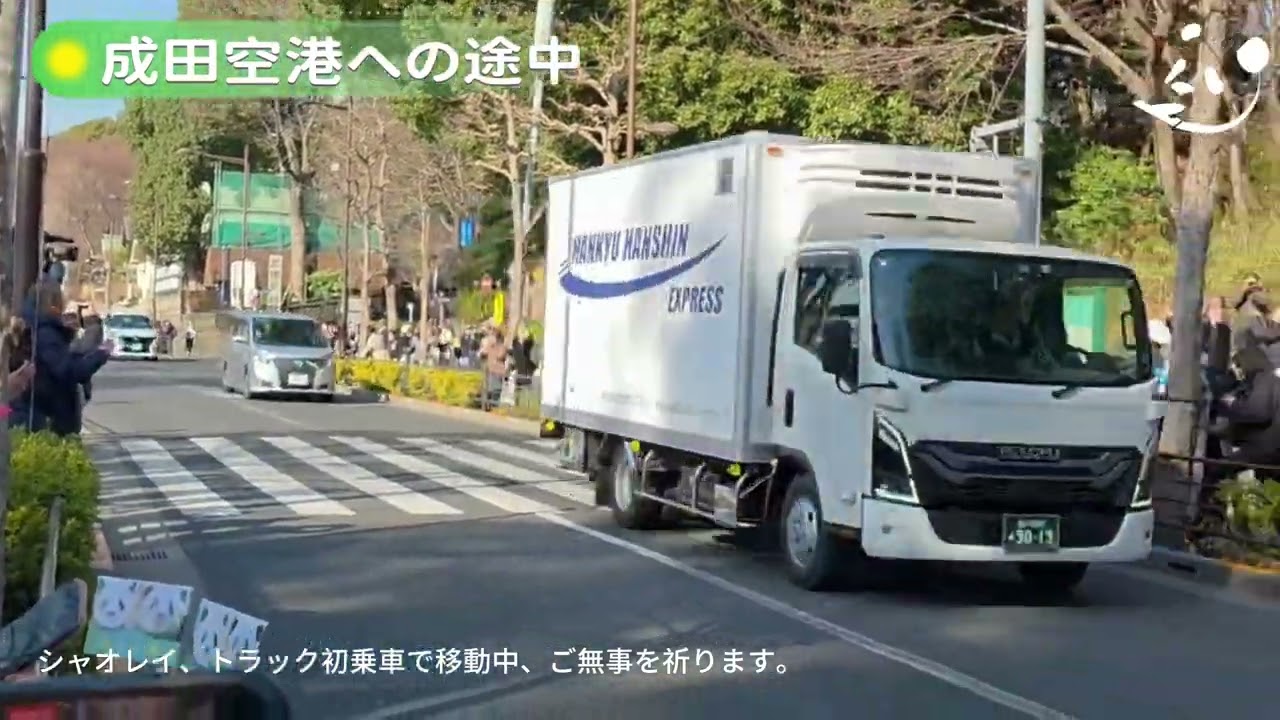 暁にひらく 未来への蕾