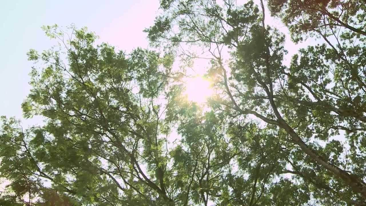 Universidade Federal da Paraíba (Vídeo Institucional)