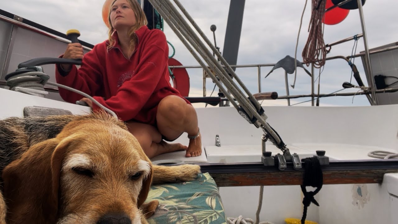 Sunset & Night Sailing in the Stockholm Archipelago | Solo Sailing with My Dog