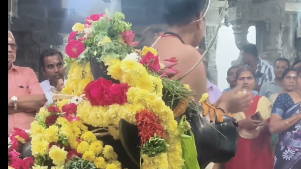 தை மாசம் முதல் பிரதோஷம்  மாட்டுப் பொங்கல் அன்று🐄🙏