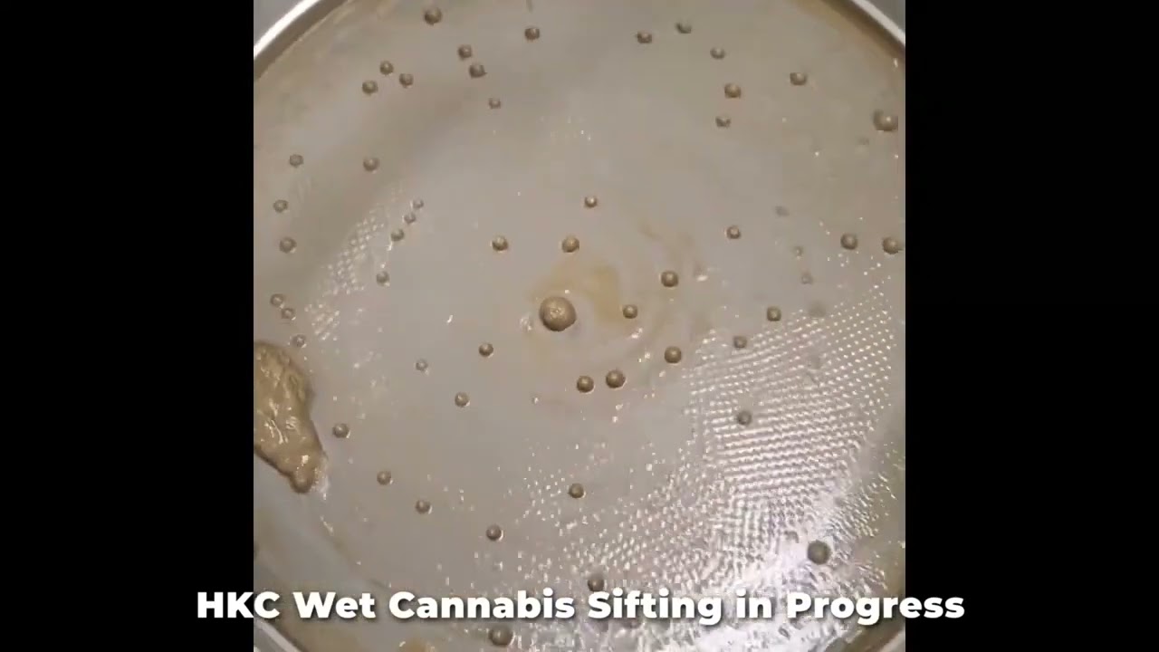 Wet Cannabis Sifting  HKC Dual Drive Sifter Series for Trichome Separation - HK Technologies