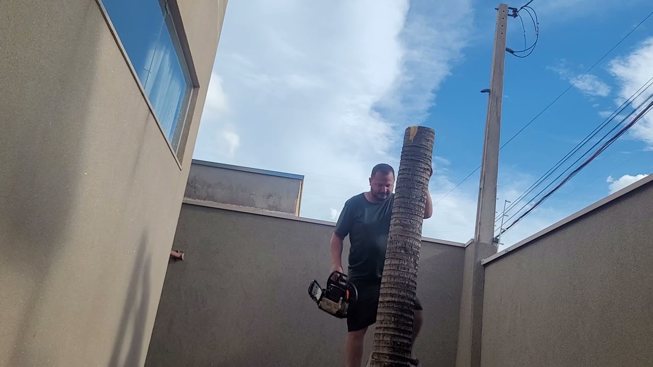 Cortando nosso coqueiro para começar um projeto!