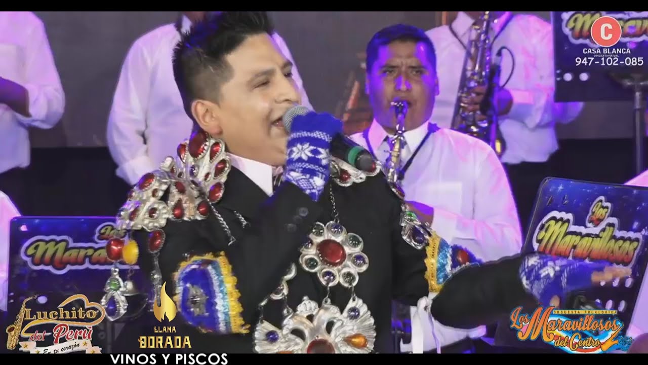 LUCHITO DEL PERU ♫ HOMENAJE A CARHUAMAYO ✔ EN CONCIERTO VIRTUAL 2020