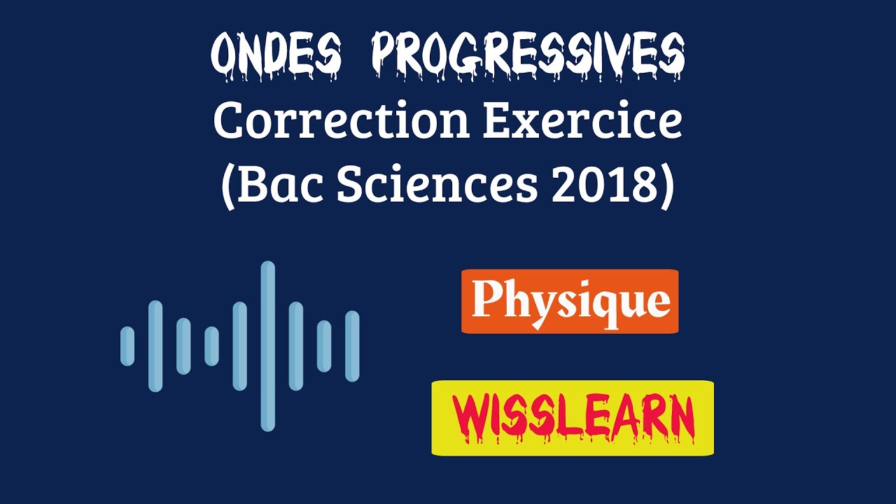 14. Les ondes progressives -Correction Exercice (Bac Sciences 2018)-Bac Sciences/Technique/Info/Math