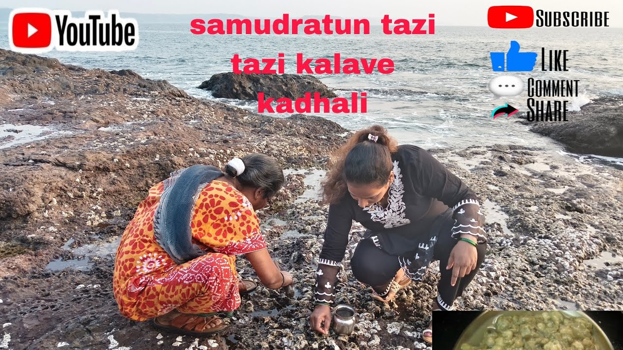  Aaisobat Jaun Khadli Tazi Tazi Kalave 🌊🌴#kokan#🌴🌴🌴🌴