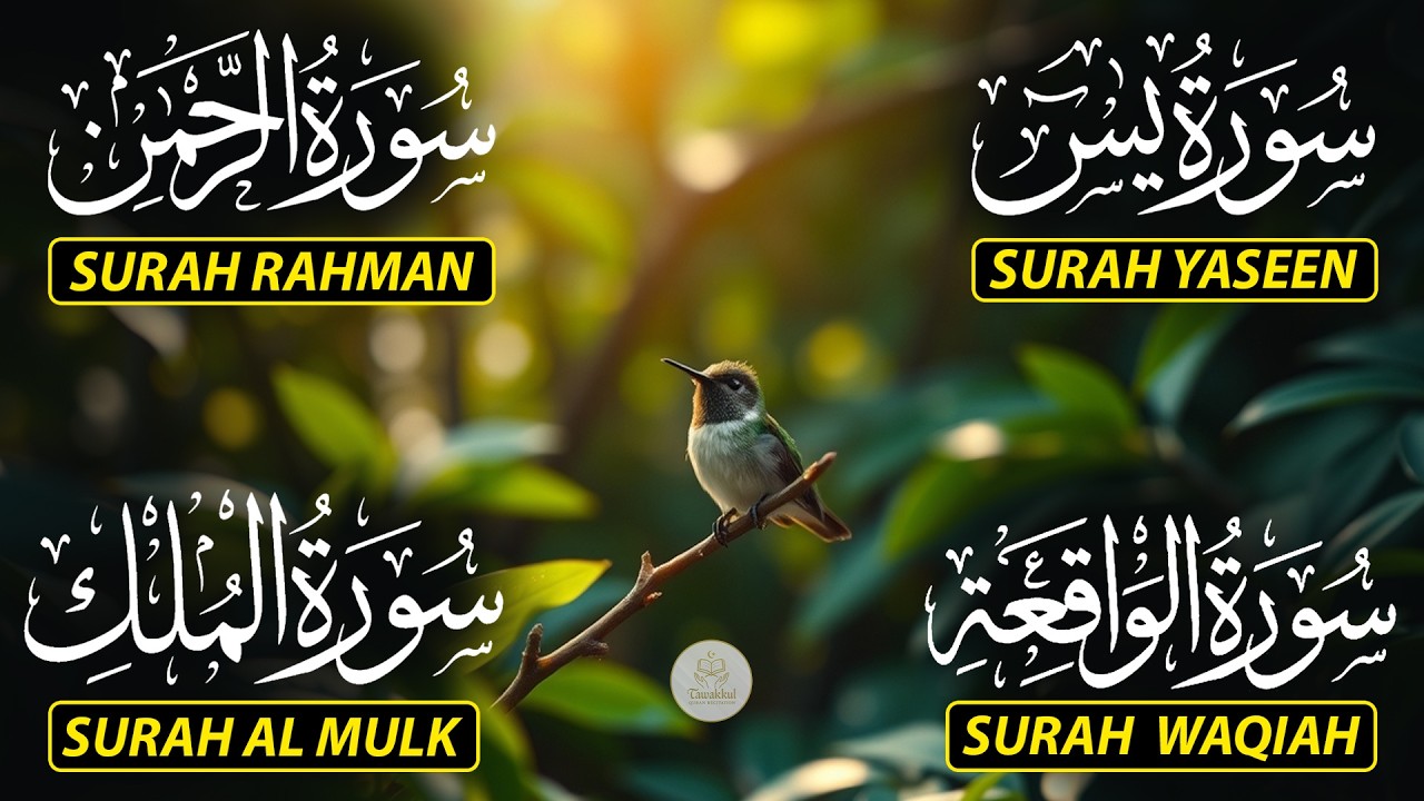 Magical Recitation Surah Yaseen (Yasin) | Surah Rahman | Surah Waqiah | Surah Mulk