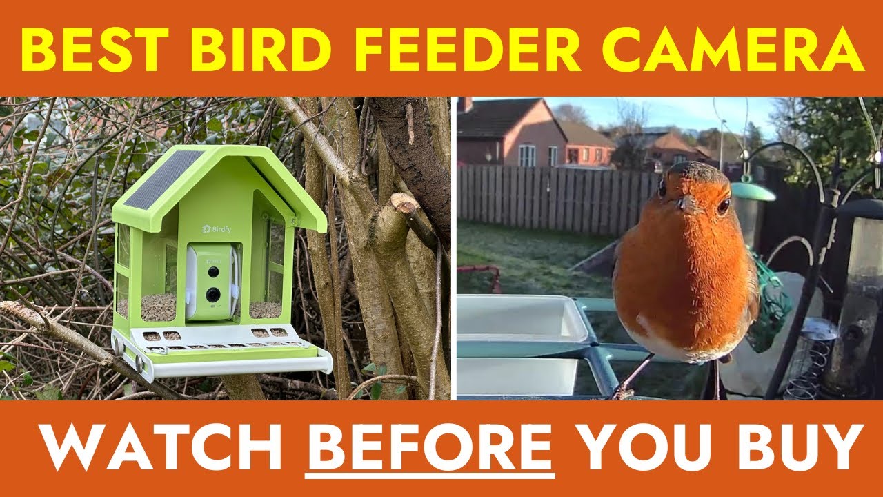 4 Best Smart Bird Feeder Cameras | Solar Powered With AI Bird Identification! 🐦🕊️