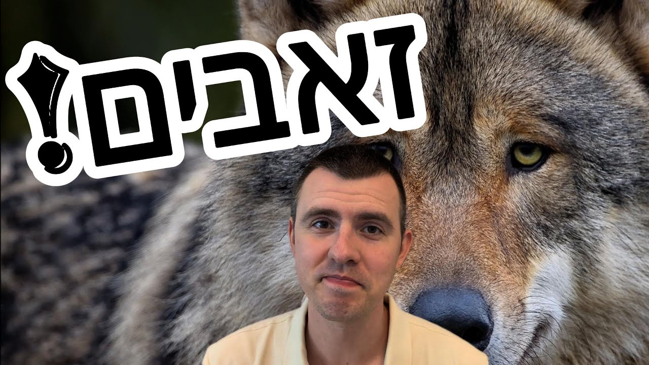 הזאבים - הסודות מאחורי היללות ואיזה מינים יש בישראל? | פרק 13