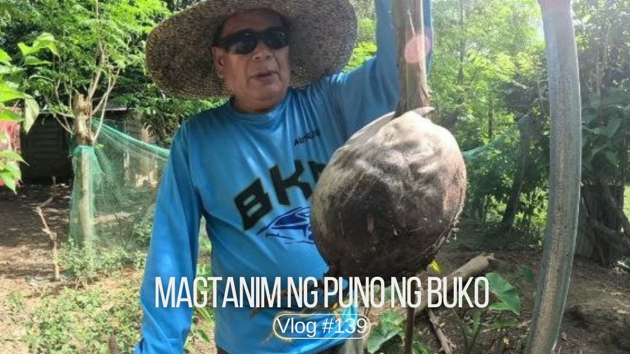 Magtanim ng puno ng Buko