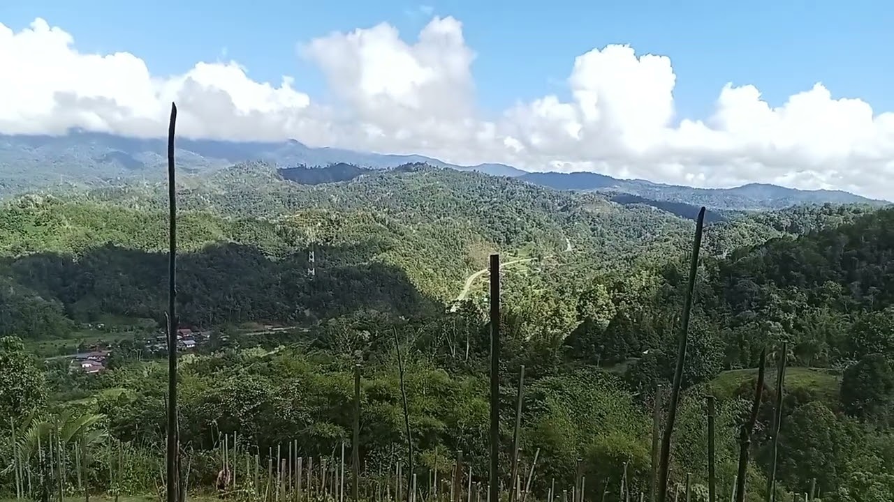 Very beautiful scenery 🌳🏔️#nature #hills #youtube 