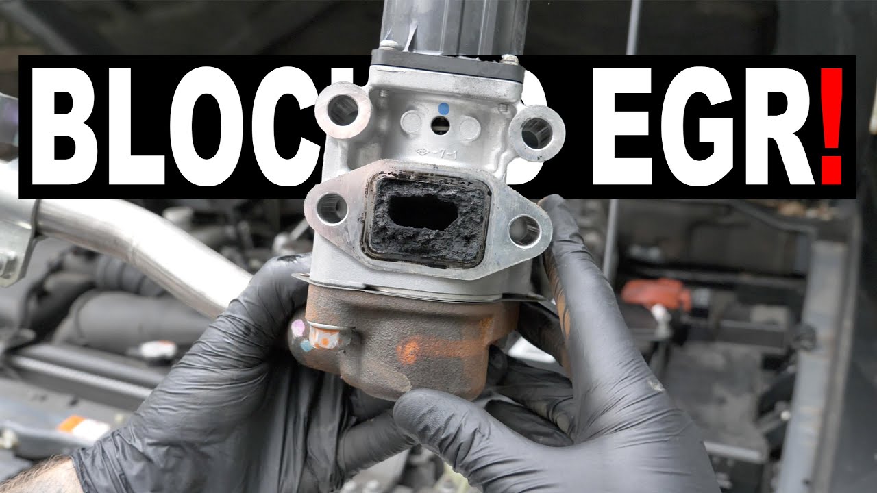 Watch This Before You Pay a Mechanic | Blocked EGR Valve | Pajero Diesel (4K)