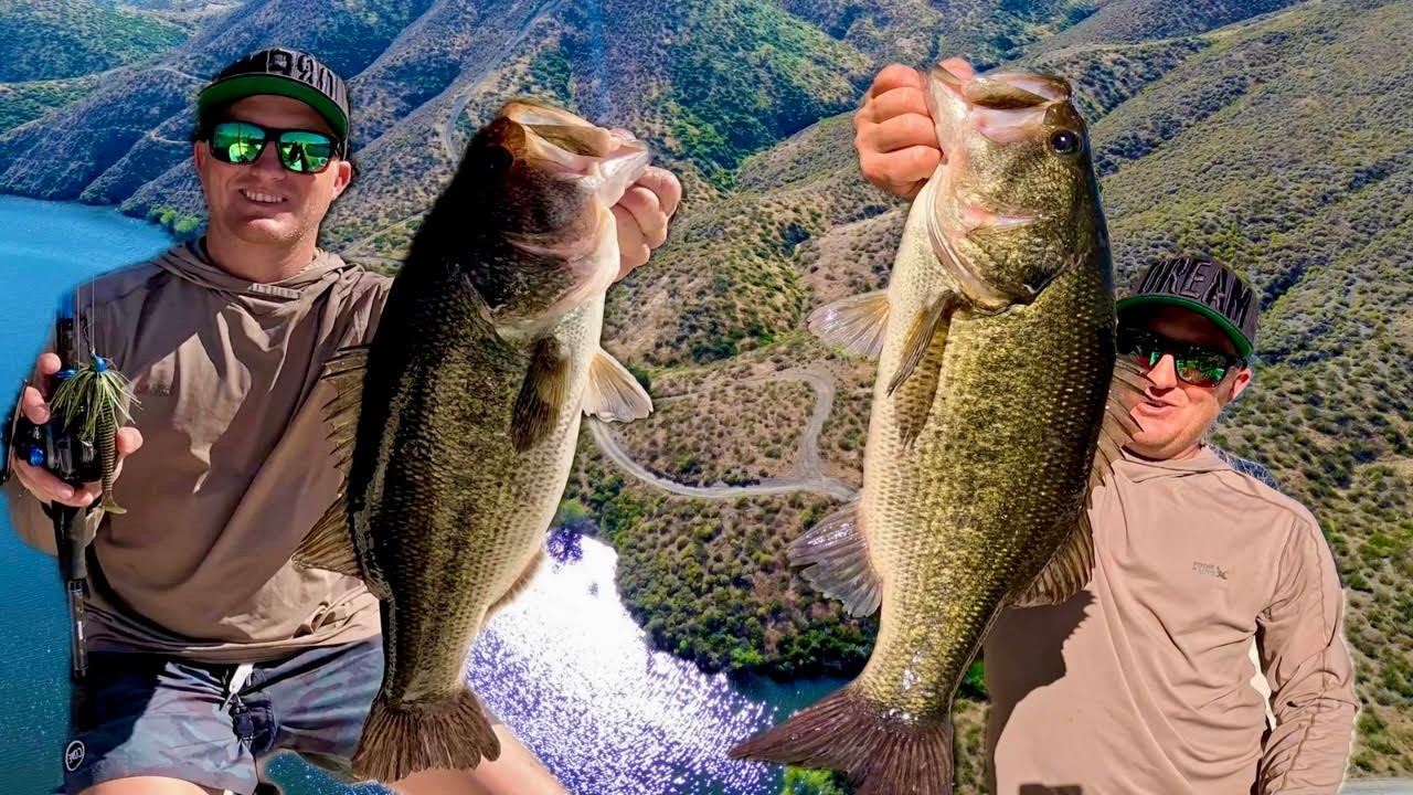 Не могу поверить, что это сработало&hellip; (Бас просто разрывал всё)