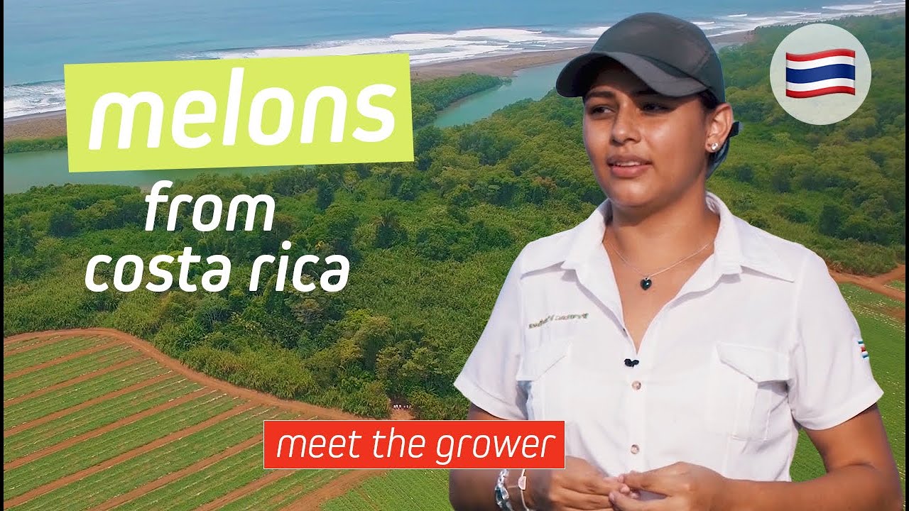 Meet The Grower in Costa Rica | EXSA Europe