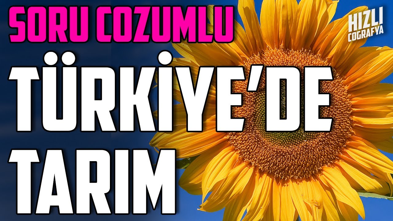 TARIM ÜRÜNLERİ VE HAYVANCILIK | AYT COĞRAFYA