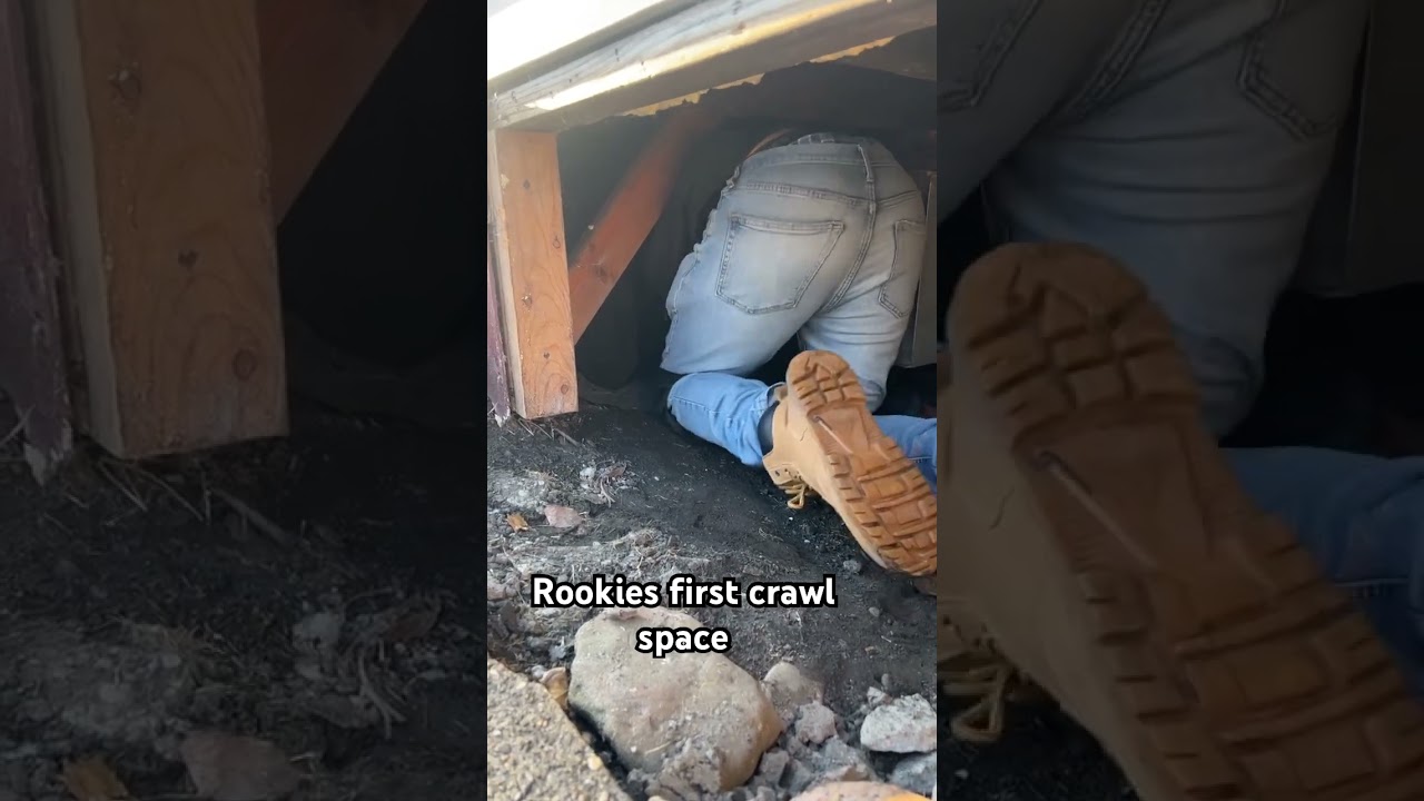 Crawl spaces are the worst #crawlspace #hvac #shorts