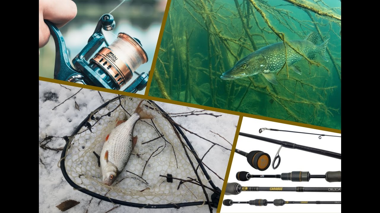 Abu Garcia Carabus круче Nano Zero! Подсачек оказался мал!