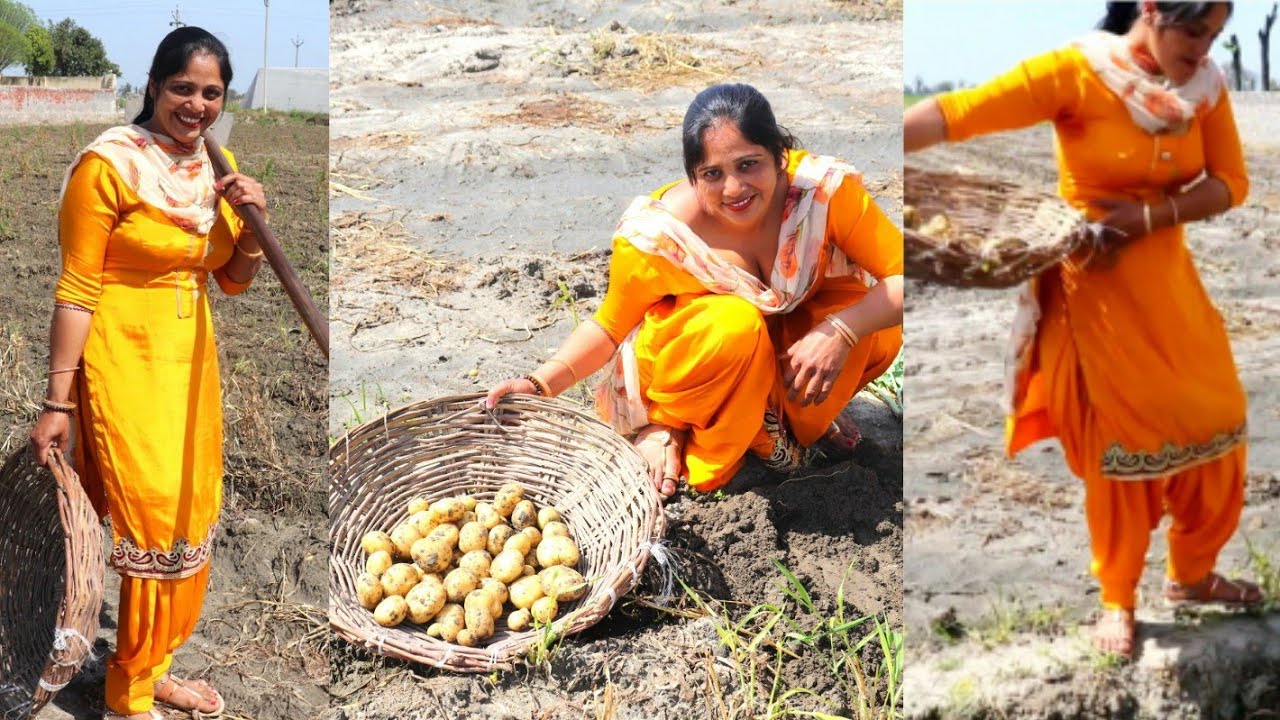Village Life in Punjab (India) // Rural life of Punjab India 🖤 Indian rural life of Punjab