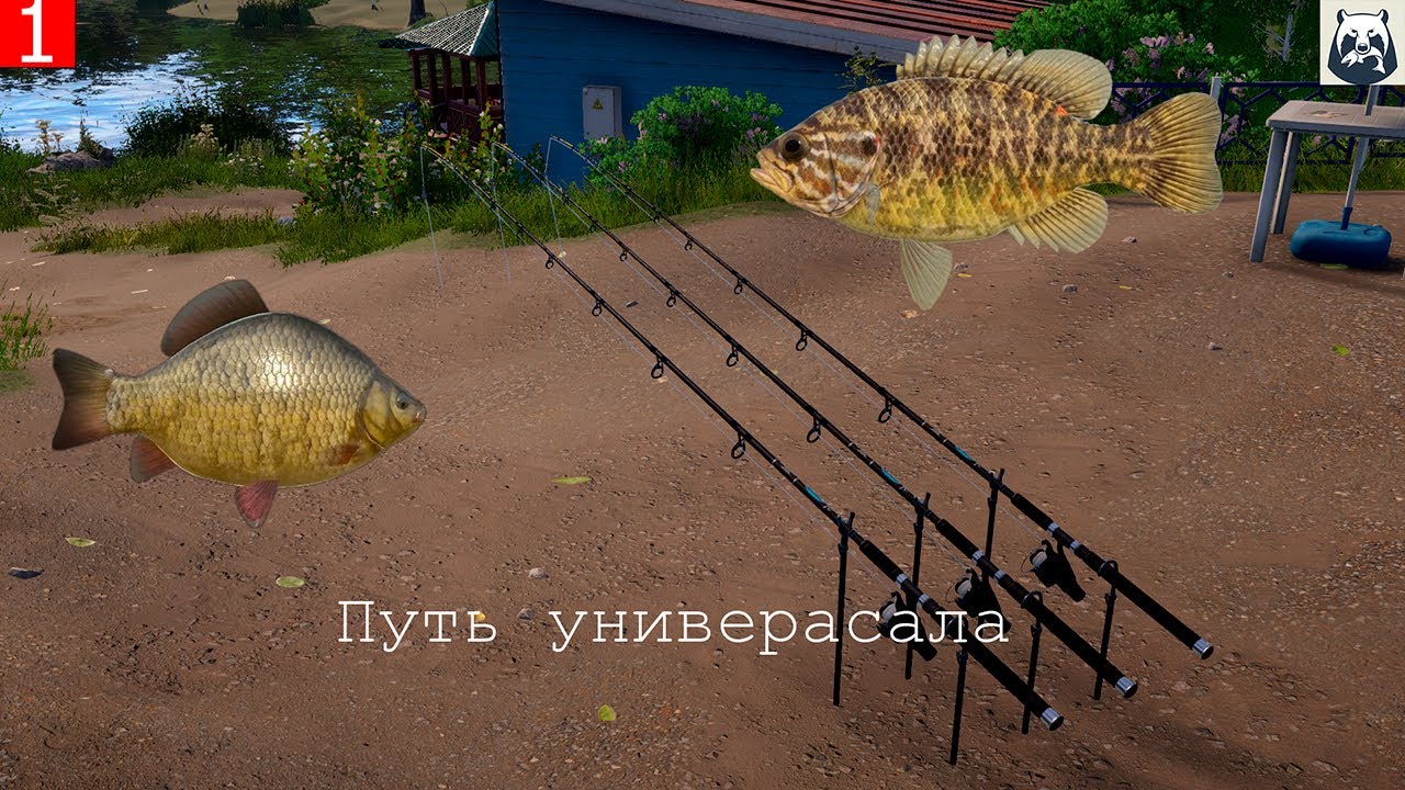 Собираем первые фидера🔥Поймали первый ТРОФЕЙ⭐ | Путь универсала в Русской Рыбалке 4 | часть 1.