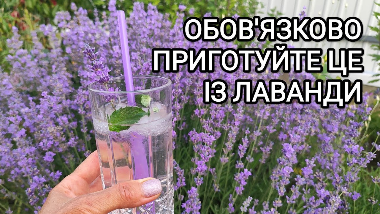 Рецепти із лавандою. Готуємо ЛАВАНДОВИЙ сироп та  лимонад #лаванда#рецептиукраїнською#lavender