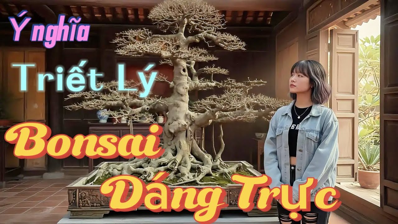 DÁNG TRỰC TRONG BONSAI : TỪ VIỆT NAM NHÌN RA THẾ GIỚI. #bonsai 