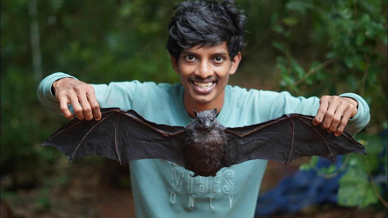 കുട കൊണ്ട് ഒരു വവ്വാൽ !🦇| A bat made with old umbrella 