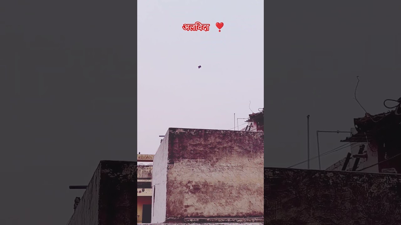 अलविदा ❣️ kite festival 🪁🪁