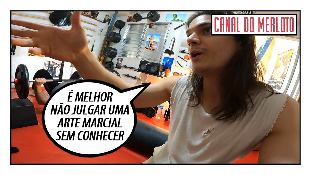 A EFICIÊNCIA DO NINJUTSU E ARTES MARCIAIS TRADICIONAIS