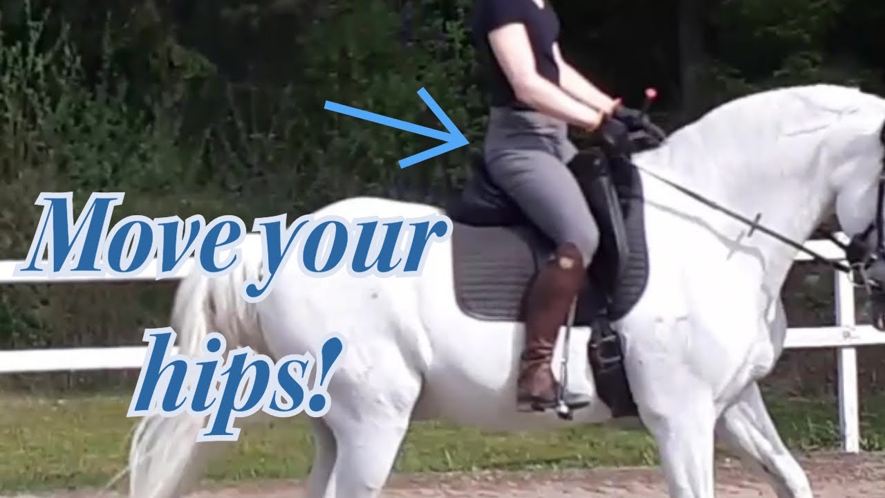 Equestrian hip mobility workout on the horse (warm up your hips for riding)
