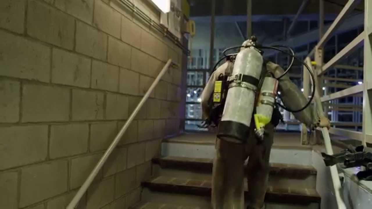 Behind the Scenes at Shark Reef Aquarium