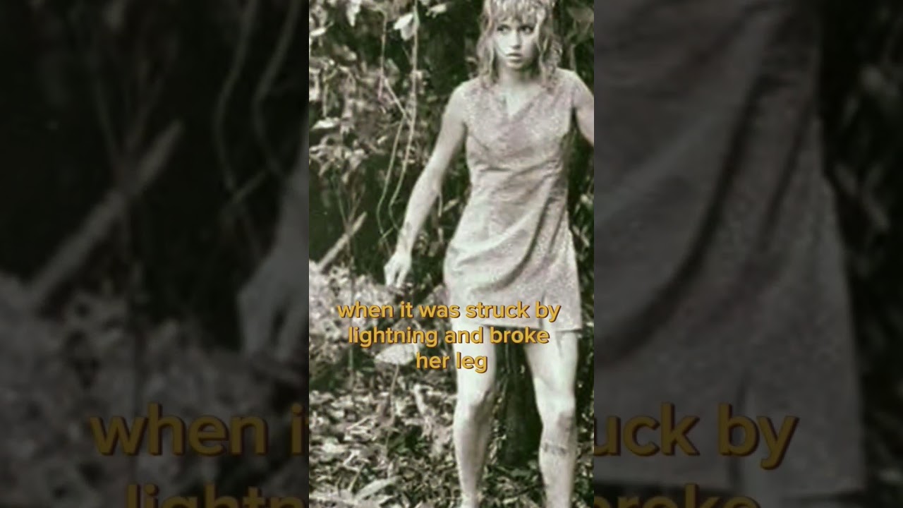 17-year-old girl survived 11 days in jungle after plane crashed
