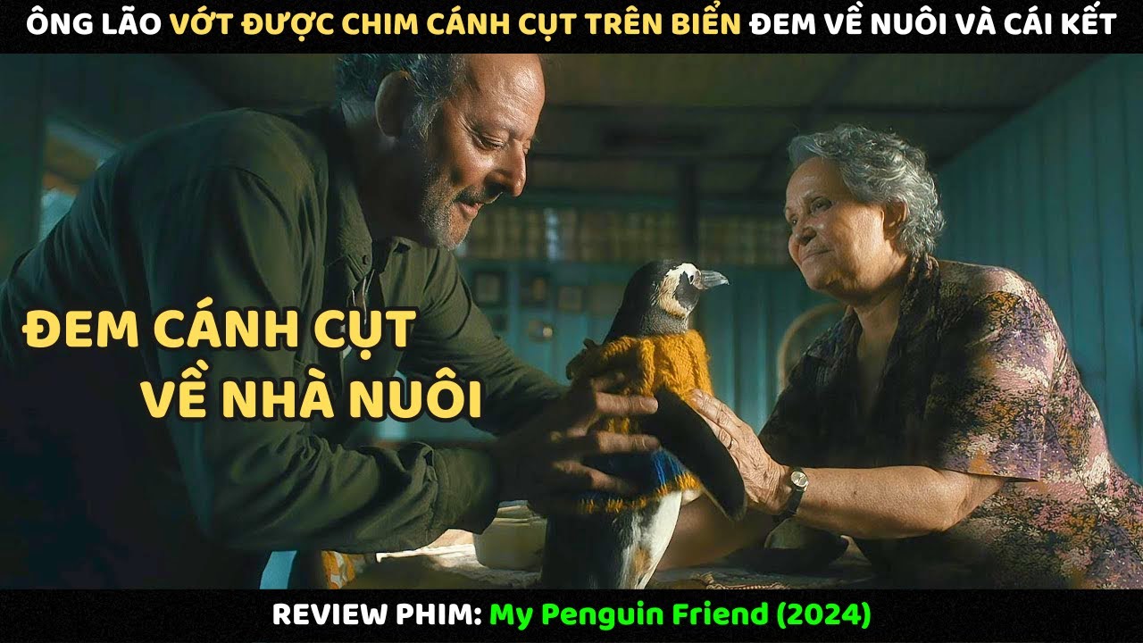 Ông Lão Vớt Được Chim Cánh Cụt Trên Biển Đem Về Nuôi Và Cái Kết | Review Phim