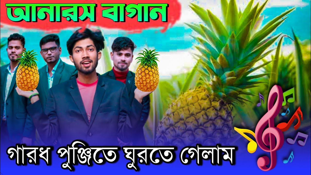 আনারস বাগানে গেলাম 🍍।। Kahrawt Hills (Garod Punji) Vlog Bangla || Karimganj Multimedia |