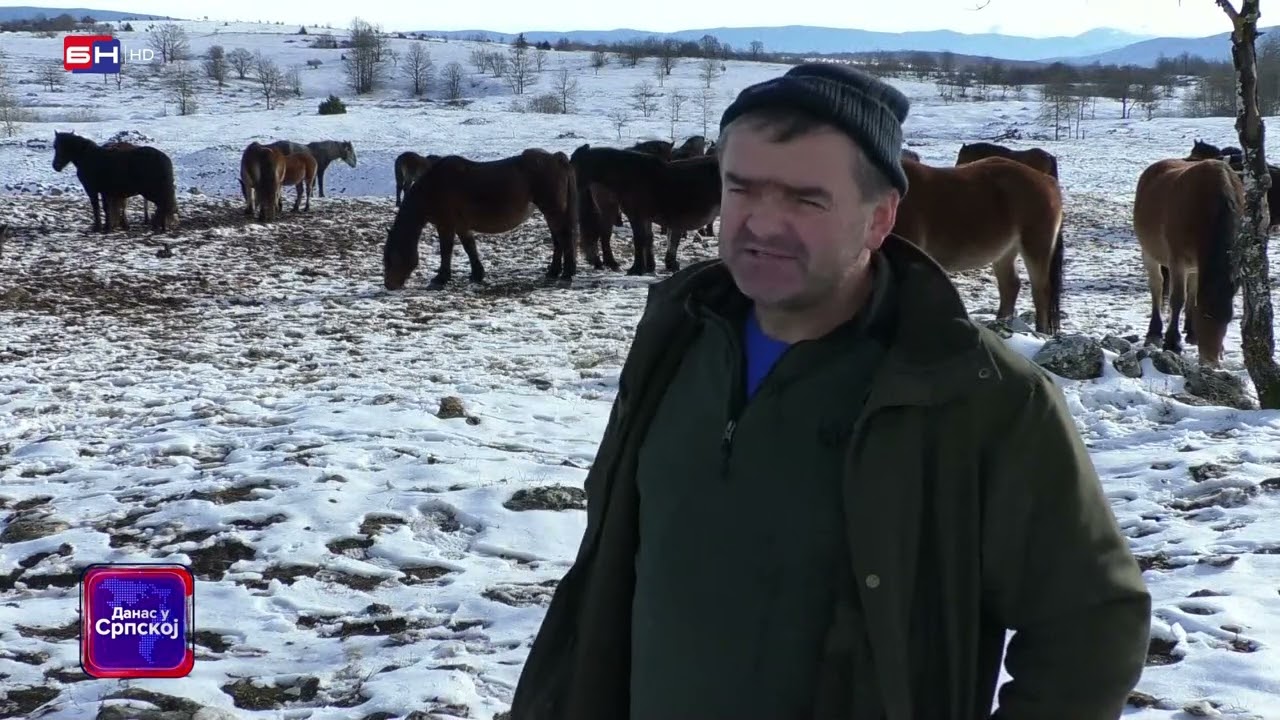 Željko Zec iz sela Gerzova kod Šipova, vratio se iz Njemačke u namjeri da se bavi stočarstvom