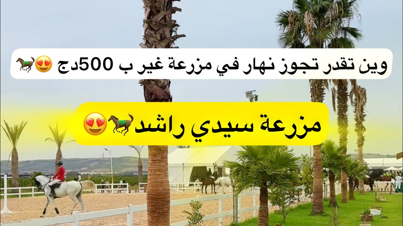 مزرعة سيدي راشد لتربية الخيول 😍🌳🌲🐎